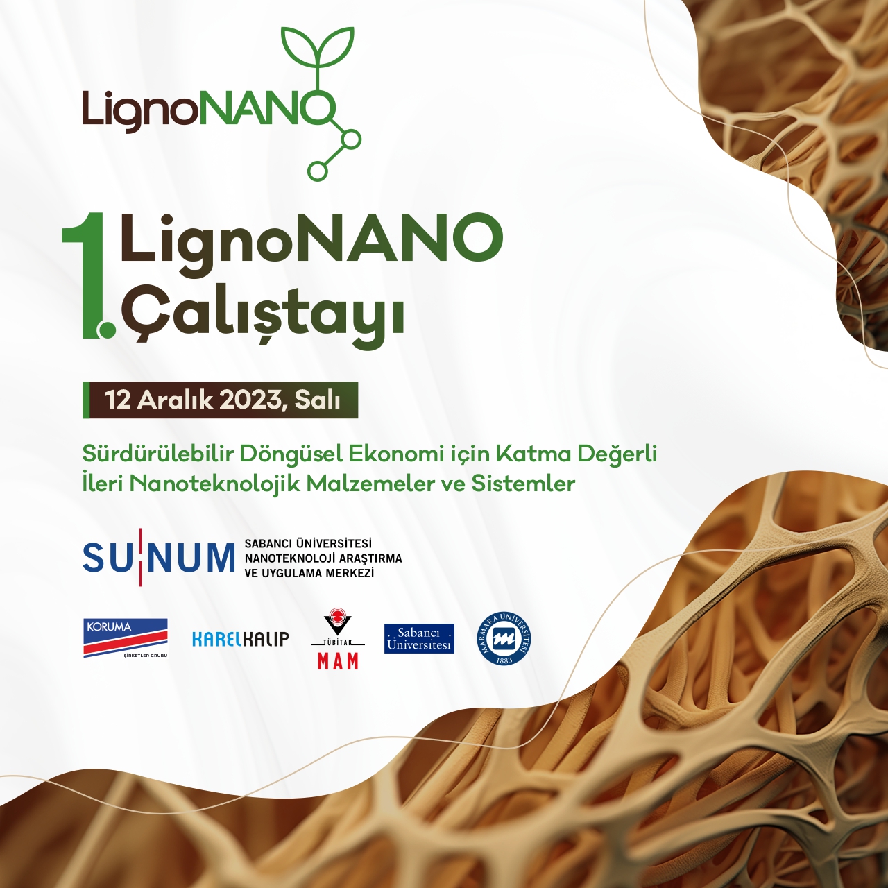1. LignoNANO Çalıştayı 12 Aralık'ta yapılacak